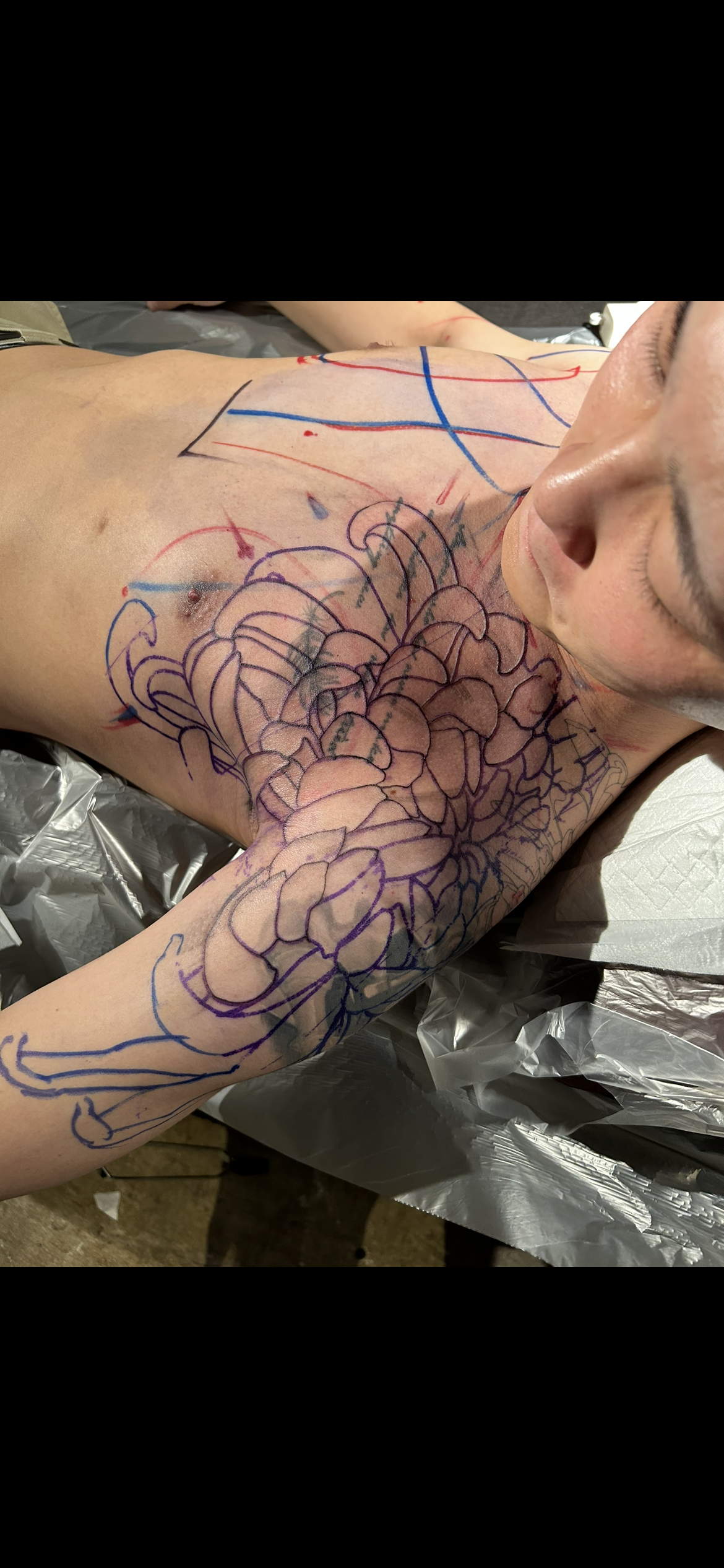 菊のインデックススケール