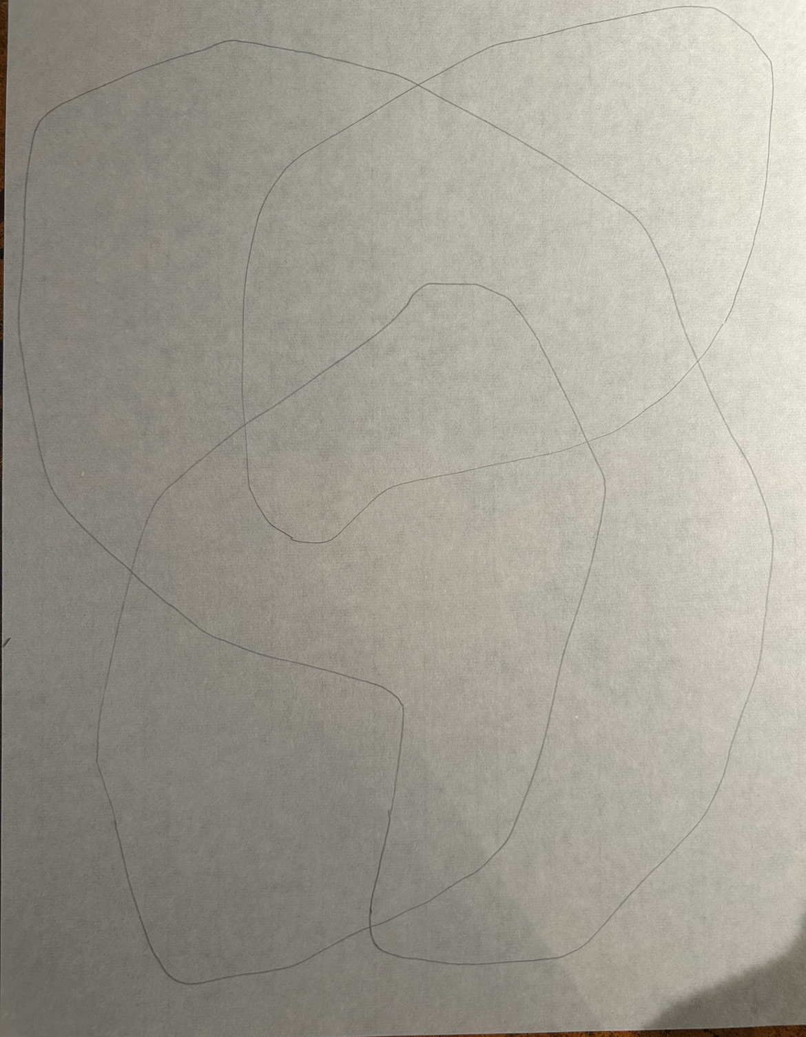 2025/12/10 複雑な混合線の連鎖で菊を描く試み